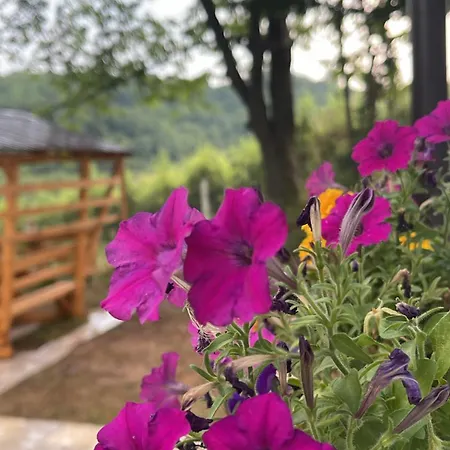 فلة حور بالبوسنه *